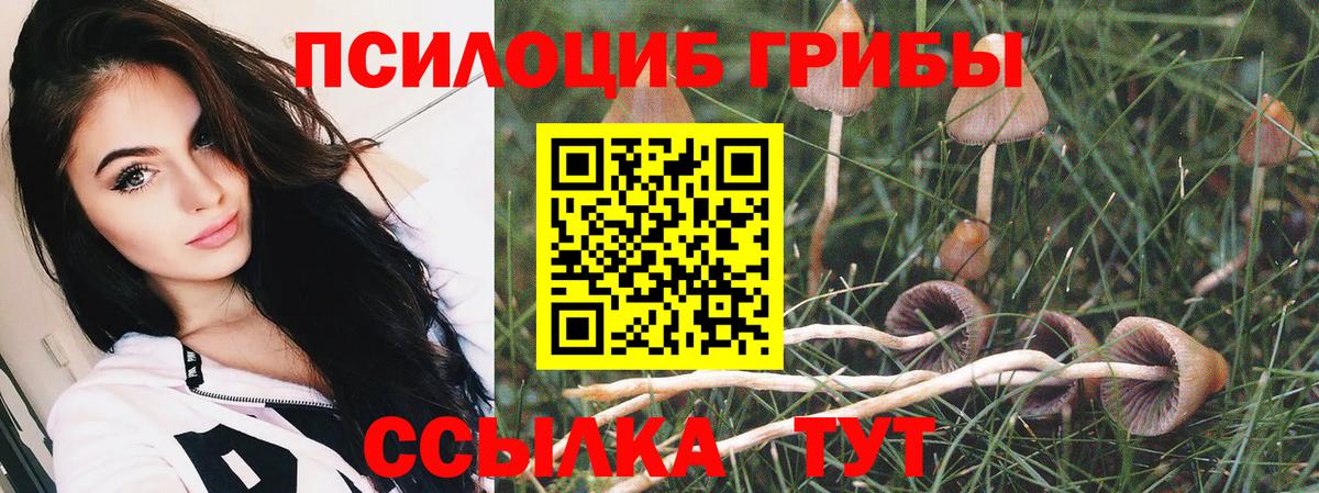 Россия  Галлюциногенные грибы Psilocybe  Вход с VPN 