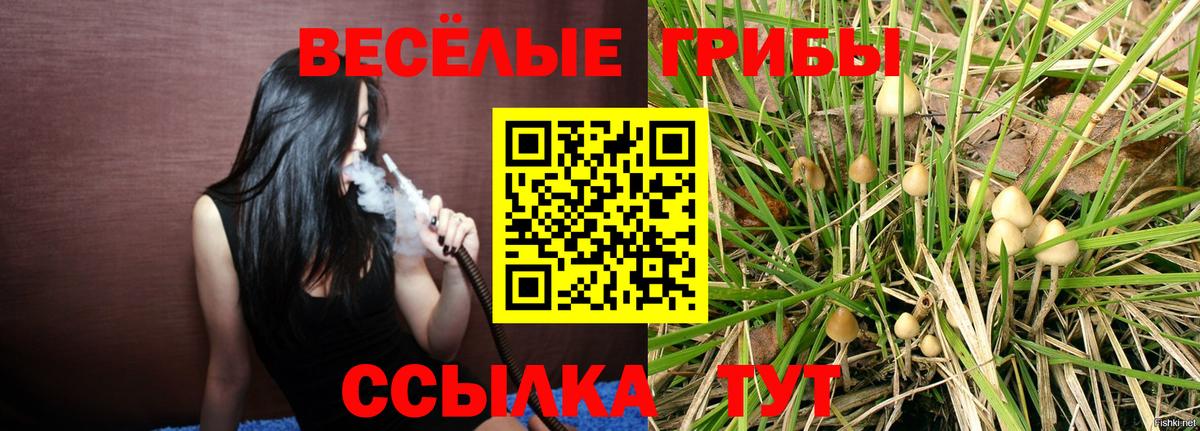 Галлюциногенные грибы прущие грибы Россия